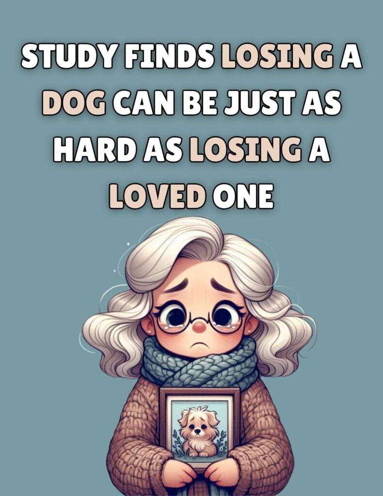 WhatsApp-Image-2025-03-16-at-15.07.08_15323fa1-790x1024 20 Old Age Quotes About The Grandmother To Make Your Mood Better