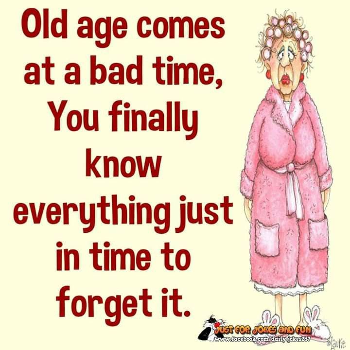 WhatsApp-Image-2025-03-27-at-16.21.13_921e86a2 An Old Lady Shares Her Daily Life By Creating 20 Funny Cartoon Jokes