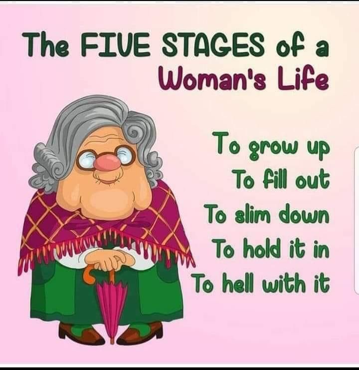 WhatsApp-Image-2025-03-27-at-16.21.19_85d8a24d 20 Times An Old Lady Make Cartoon Jokes To Show The Life in Sixties