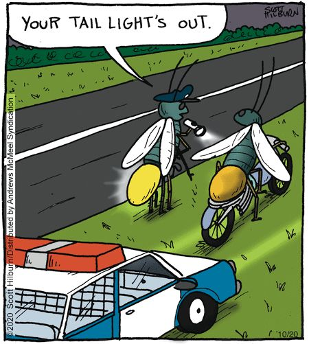 image-48 This Blog Is For Those Who Wants To Enjoy 20 Humor Side Comics