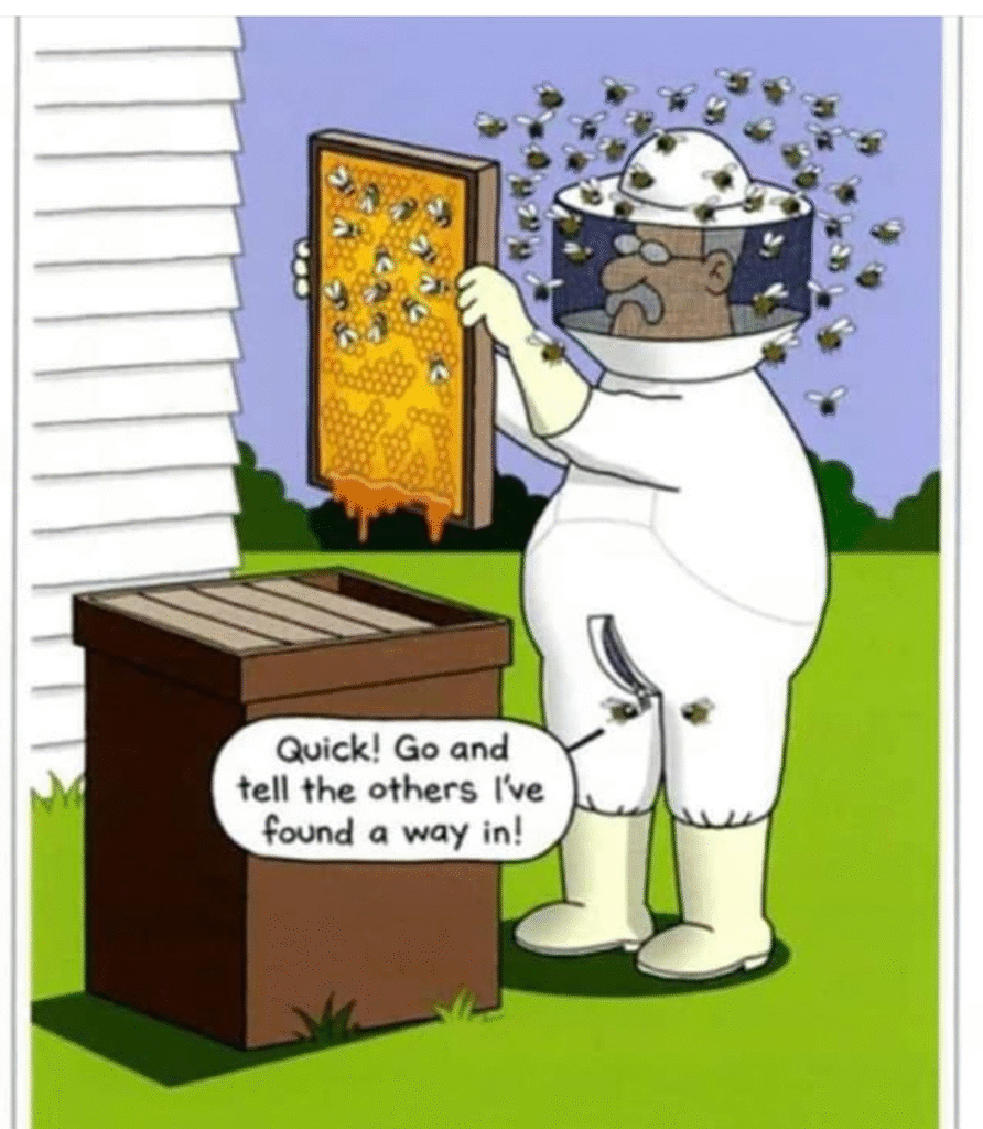 image-50-892x1024 This Blog Is For Those Who Wants To Enjoy 20 Humor Side Comics