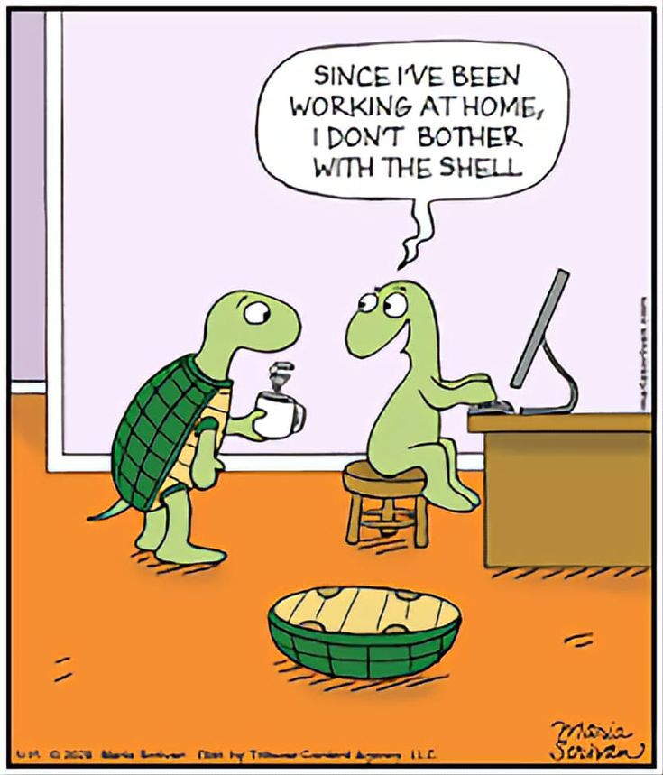 image-51 This Blog Is For Those Who Wants To Enjoy 20 Humor Side Comics