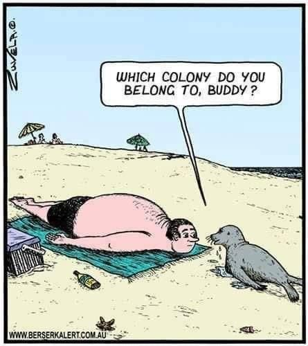 image-59 This Blog Is For Those Who Wants To Enjoy 20 Humor Side Comics