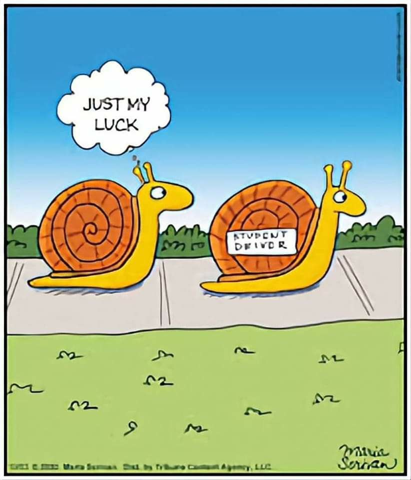 image-61 This Blog Is For Those Who Wants To Enjoy 20 Humor Side Comics