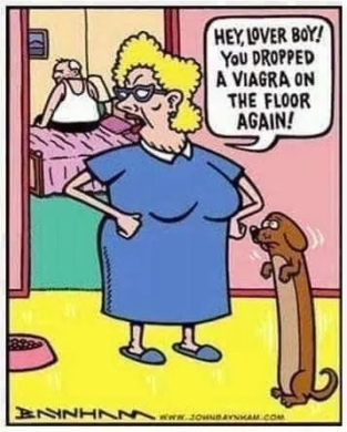 image-637-313x390-1 20 Humor Side Cartoons That Will Make You Laugh Out Loud