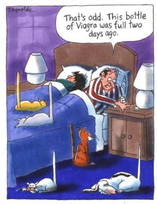 image-683-519x675-1 20 Humor Side Cartoons That Will Make You Laugh Out Loud