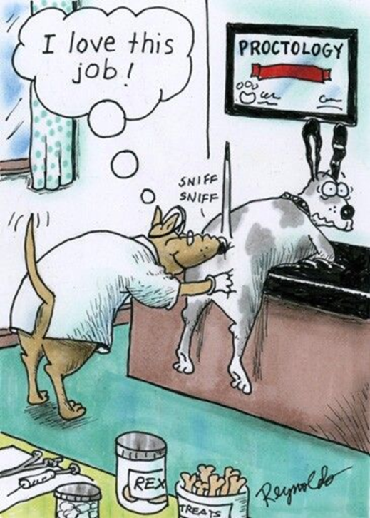 image-731-519x726-1 An Artist Creates 20 Humor Cartoons To Turn People Worries into Happiness