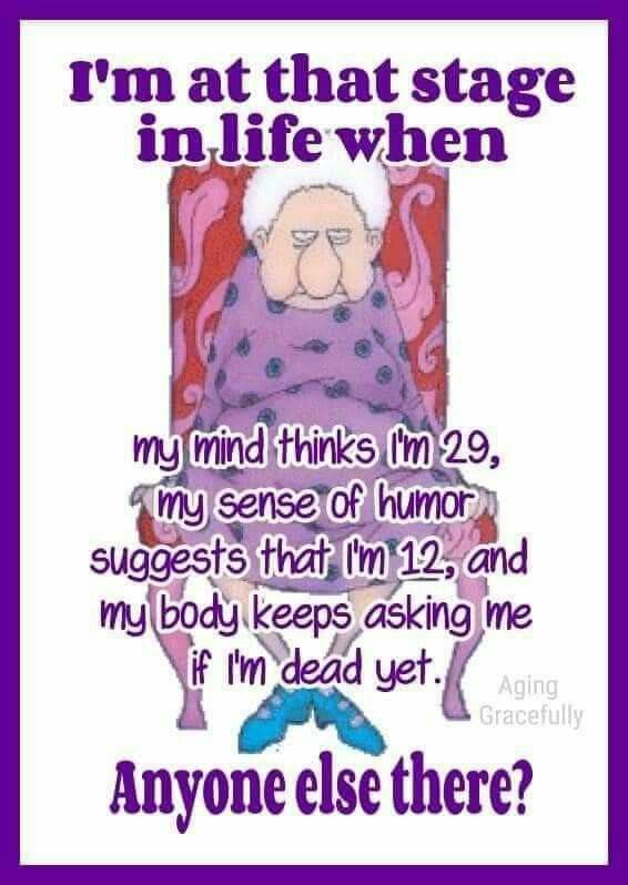 WhatsApp-Image-2025-04-07-at-19.21.31_5cf06025 An Old Lady Captures The Funs of Being Old in 20 Best Humorous Jokes