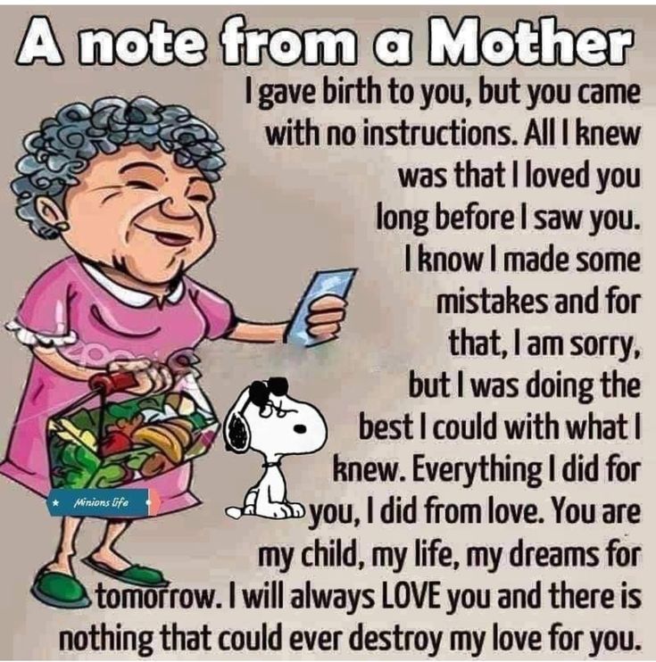 WhatsApp-Image-2025-04-07-at-20.15.00_26ec0108 Old People Can Have A Good Laugh By Watching These 20 Best Jokes