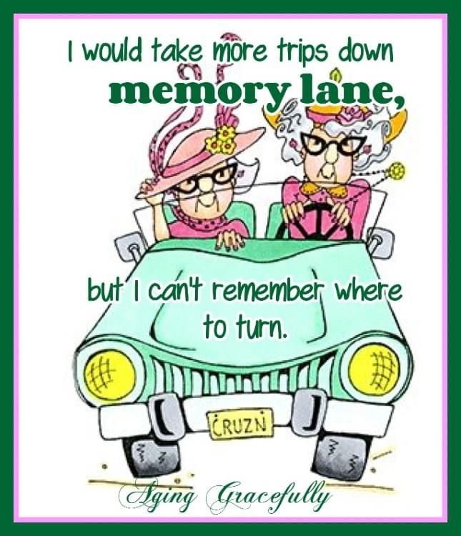 WhatsApp-Image-2025-07-14-at-17.51.57_d4f9755c A Grandmother Depicts The Struggles of Old People in 20 Best Cartoons