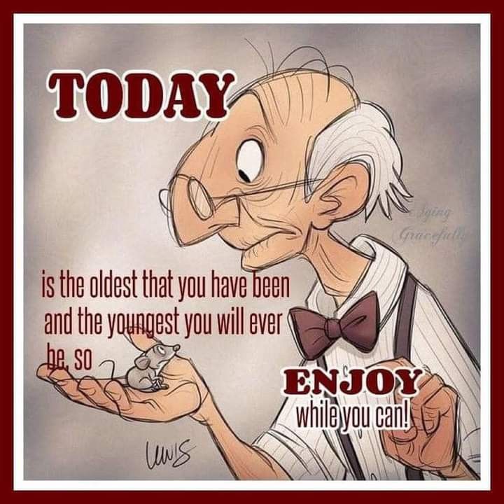 WhatsApp-Image-2025-07-14-at-17.52.01_fc7b3821 A Grandmother Depicts The Struggles of Old People in 20 Best Cartoons