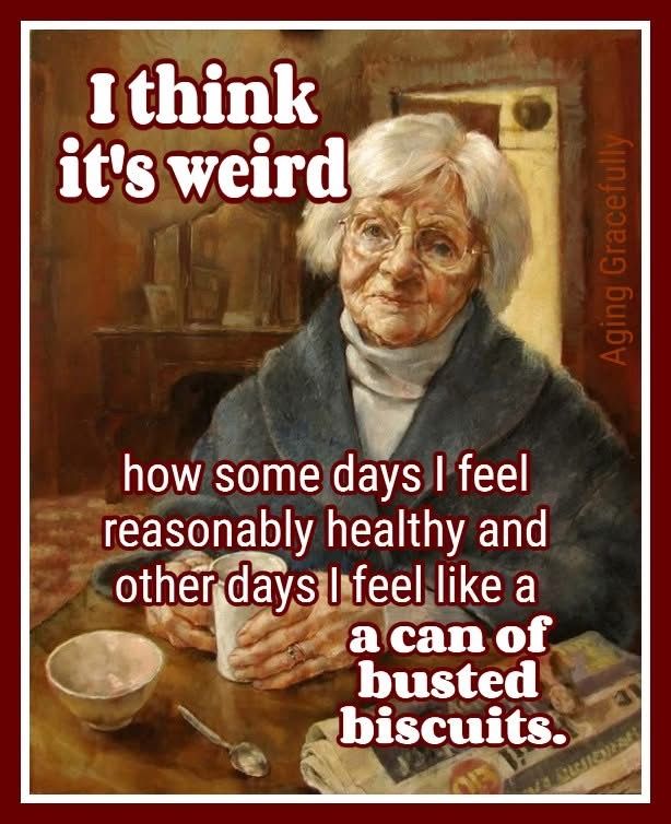 WhatsApp-Image-2025-07-14-at-17.52.15_83bbb36c An Artist Laughs Old People By Making 20 Cartoons About Old Age Things