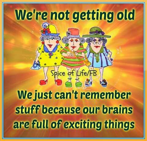 WhatsApp-Image-2025-08-03-at-11.22.46_f52d44d4 Life In Golden Years Can Be Enjoyed By Watching The 20 Best Jokes