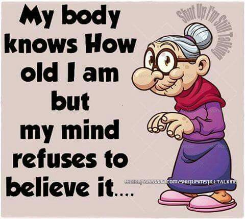 WhatsApp-Image-2025-08-03-at-11.22.48_93a1a1a5 Life In Golden Years Can Be Enjoyed By Watching The 20 Best Jokes