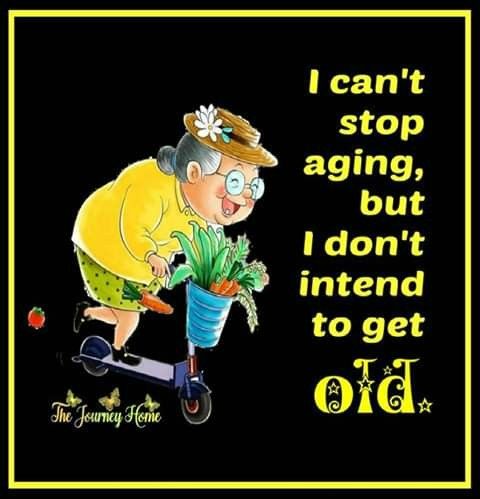 WhatsApp-Image-2025-08-03-at-11.23.16_44fbe796 15+ Times An Old Lady Presents Observations of Being Old in Funny Way