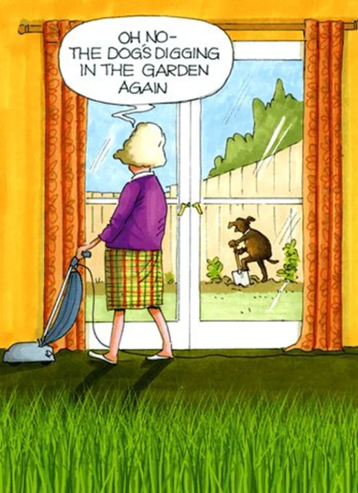 image-1019 An Artist Depicts The Whole Situations and Jokes in 20 One-Panel Comics