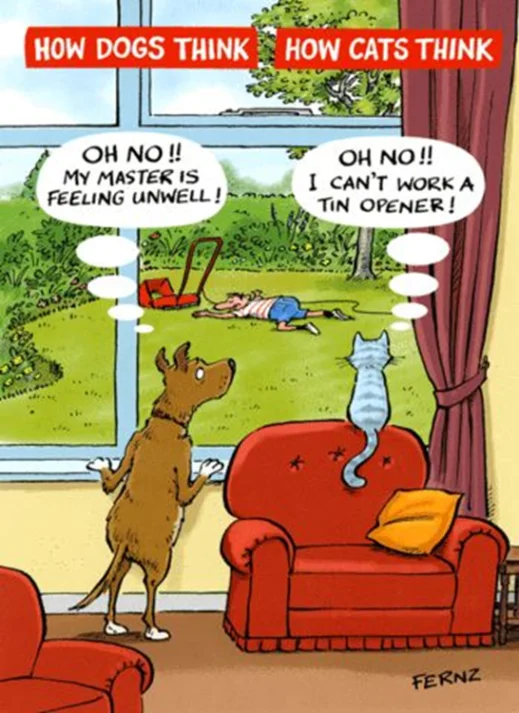 image-1020 An Artist Depicts The Whole Situations and Jokes in 20 One-Panel Comics