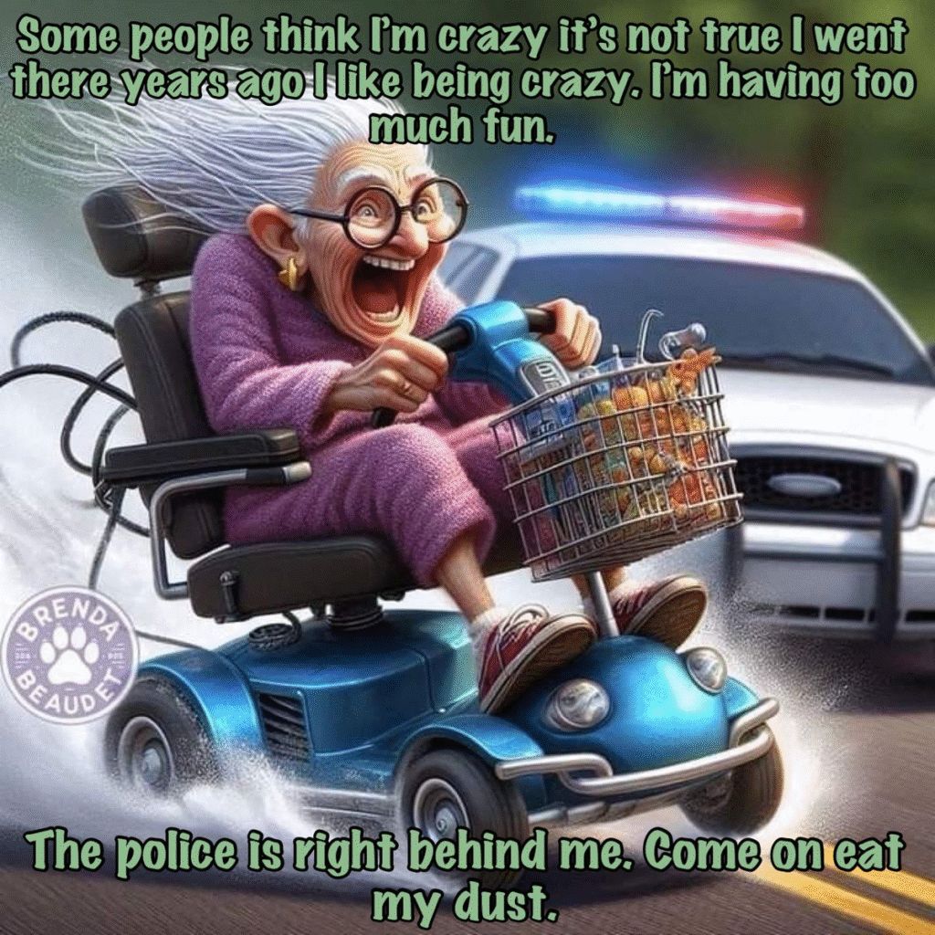image-1034-1024x1024 15+ Times A Funny Artist Creates Cartoon Images Based On Old Lady Life