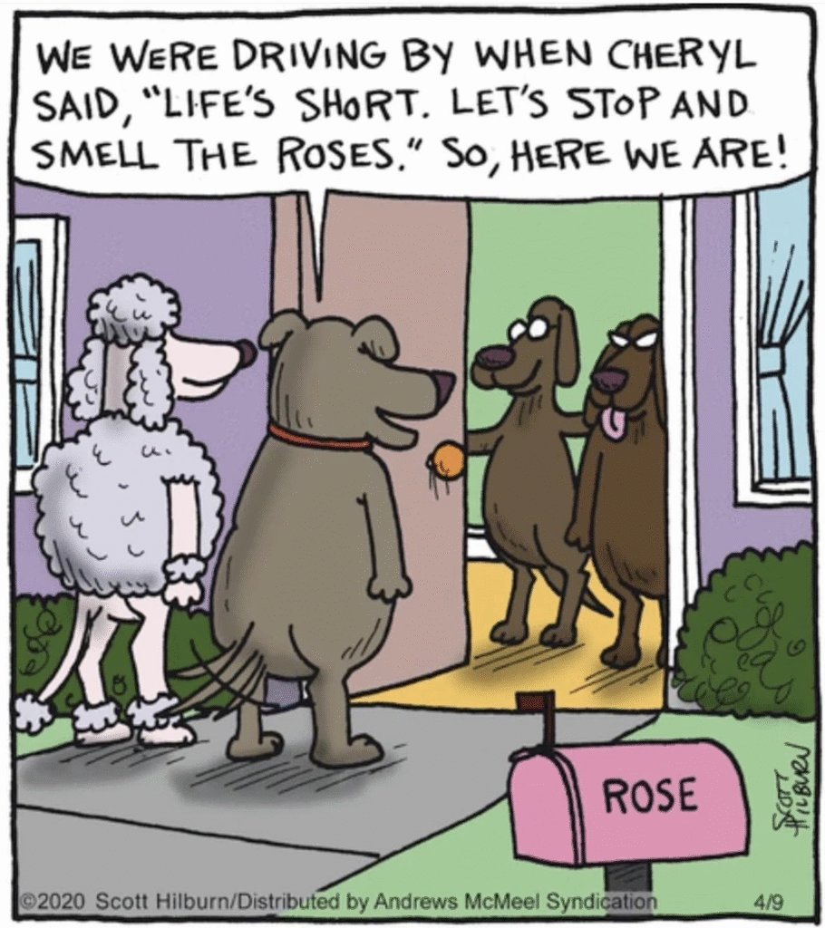 image-1073-910x1024 20 Humorous Comics Based On Single-Panel Jokes To Make You Feel Good