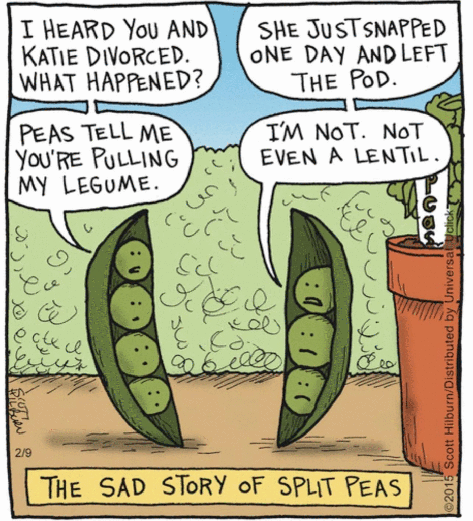 image-1075-931x1024 20 Humorous Comics Based On Single-Panel Jokes To Make You Feel Good