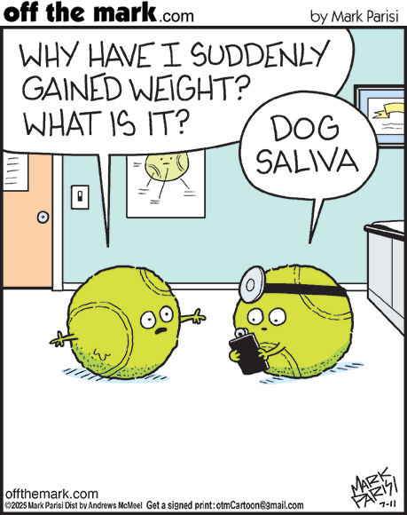 image-113 20 Off The Mark Comics About The Funny Jokes And Unexpected Twists