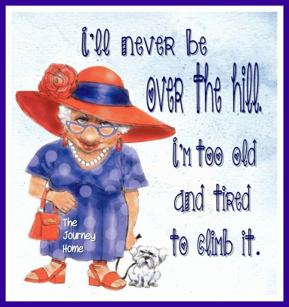 image-1185-964x1024 20 Times An Artist Represents The Old Age Life In a Funny And Amusing Way