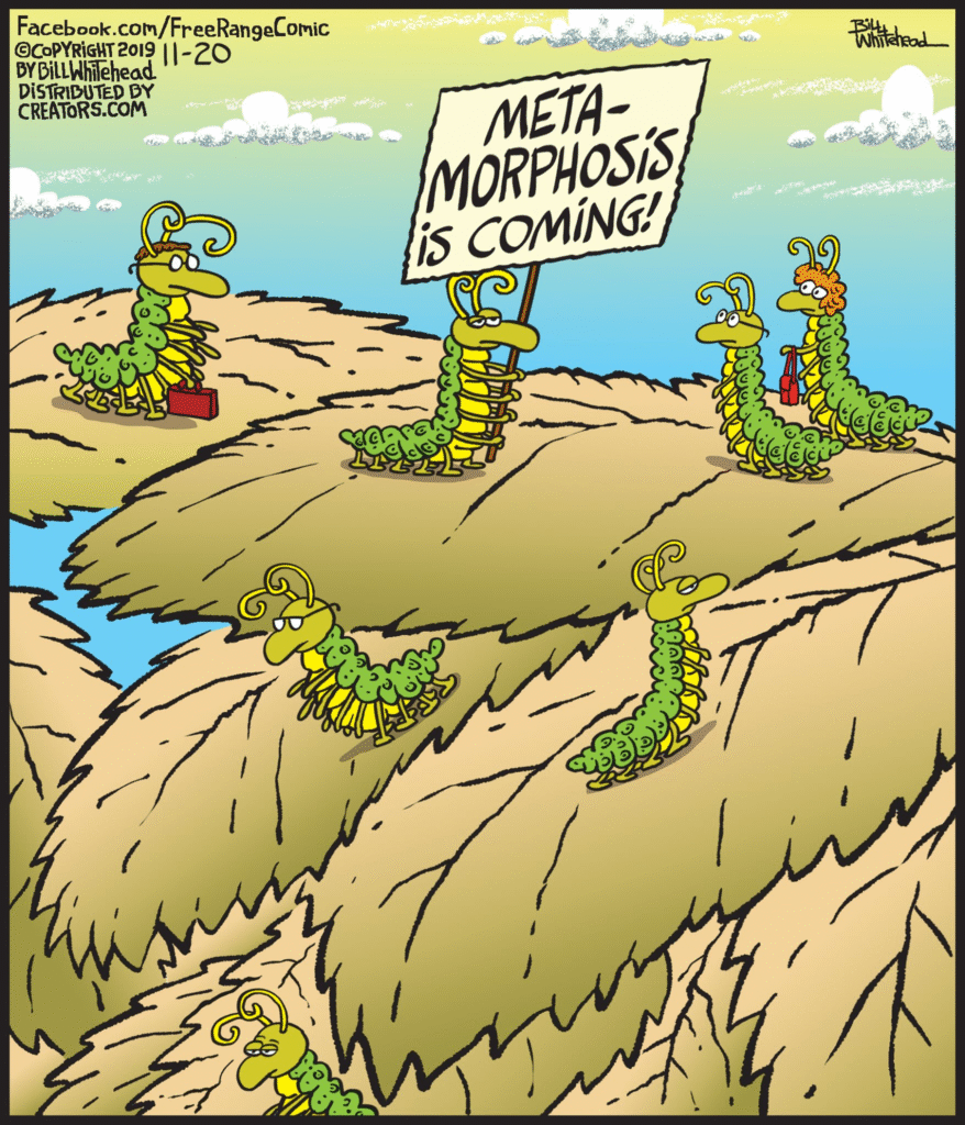 image-12-878x1024 20 Free Range Comics By Bill Whitehead To Make You Smile