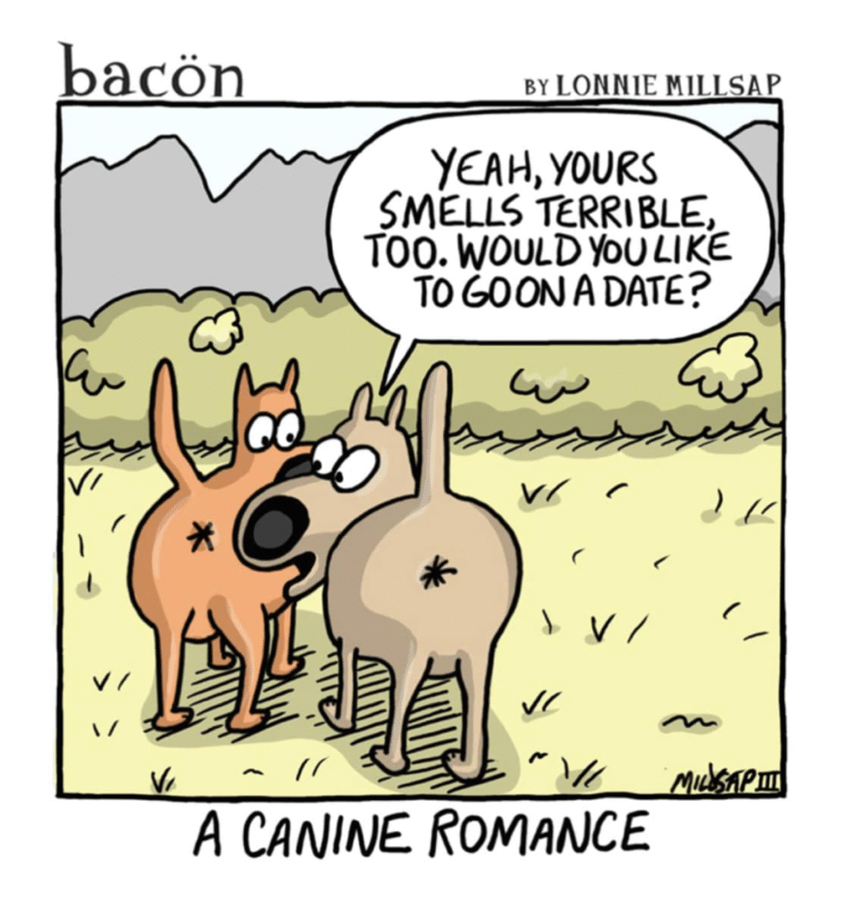 image-1213-954x1024 Here are New 20 Comics By Lonnie Milsap To Make Your Morning Good