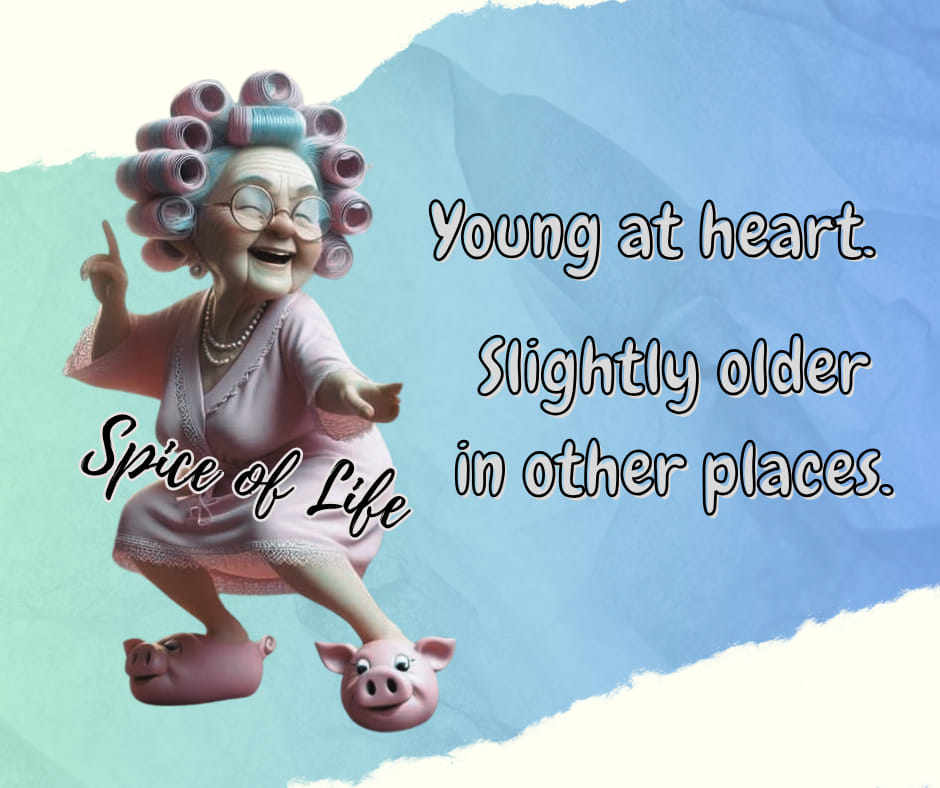 image-1454 20 Times An Old Lady Summarizes The Old Age Life in a Funny Cartoons