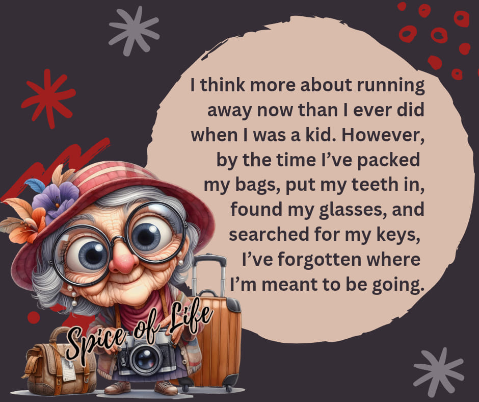 image-1467 20 Times An Old Lady Summarizes The Old Age Life in a Funny Cartoons