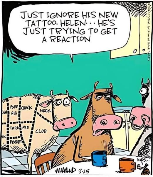 image-1548 20 New Single-Panel Cartoons By Artist Who Always Makes Everyone Laugh