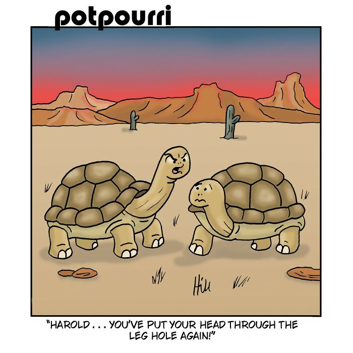 image-1557 20 Laughing Hippo Studio Comics Based on Funny Jokes And Twists