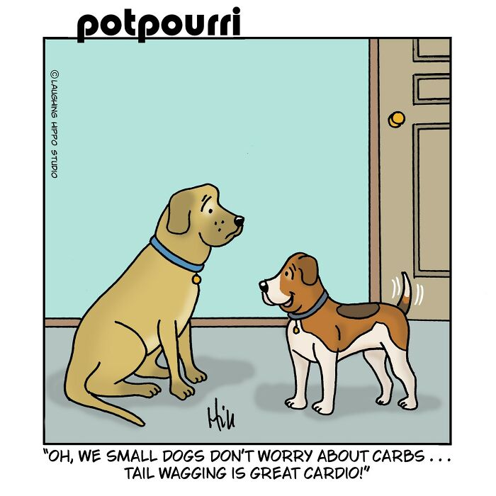image-1561 20 Laughing Hippo Studio Comics Based on Funny Jokes And Twists