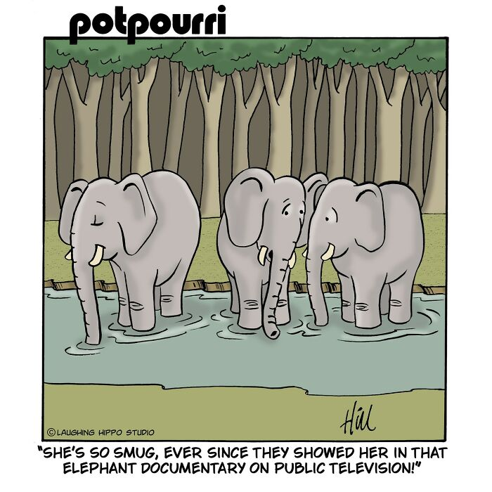 image-1570 20 Laughing Hippo Studio Comics Based on Funny Jokes And Twists