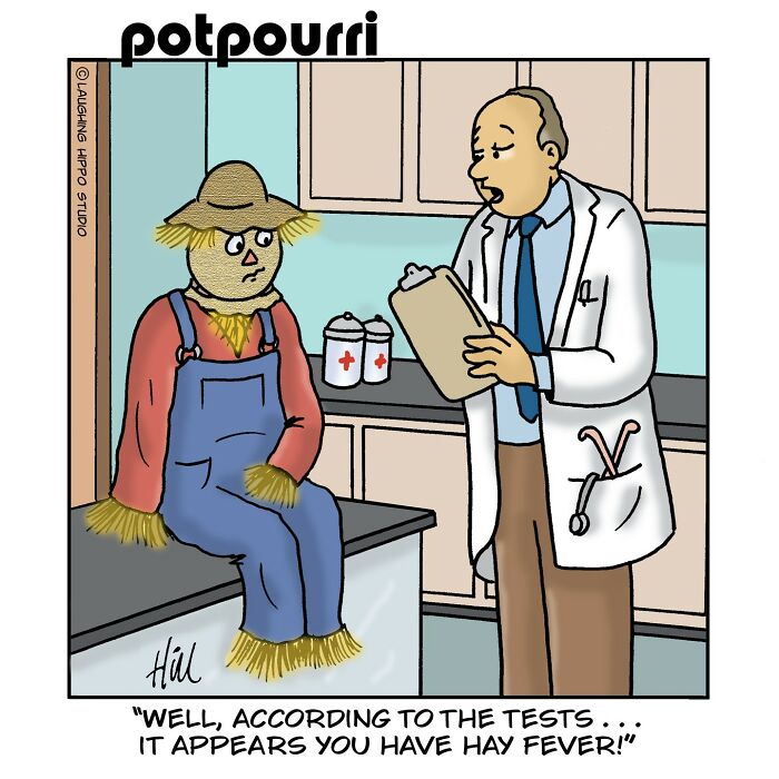 image-1571 20 Laughing Hippo Studio Comics Based on Funny Jokes And Twists