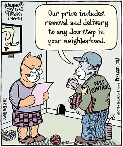 image-163 15+ Humorous Bizarro Comics Full of Fantastic Jokes and Turns