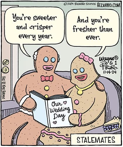 image-165 15+ Humorous Bizarro Comics Full of Fantastic Jokes and Turns