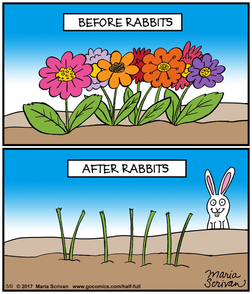 image-178-877x1024 A Female Artist Maria Scrivan Creates 20 New Single-Panel Cartoons