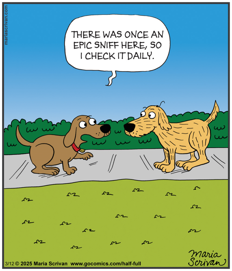 image-192-877x1024 A Female Artist Maria Scrivan Creates 20 New Single-Panel Cartoons