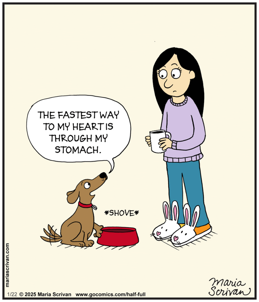 image-201-877x1024 Here are 20 Fabulous and Fantastic Comics Based On One-Panel Jokes