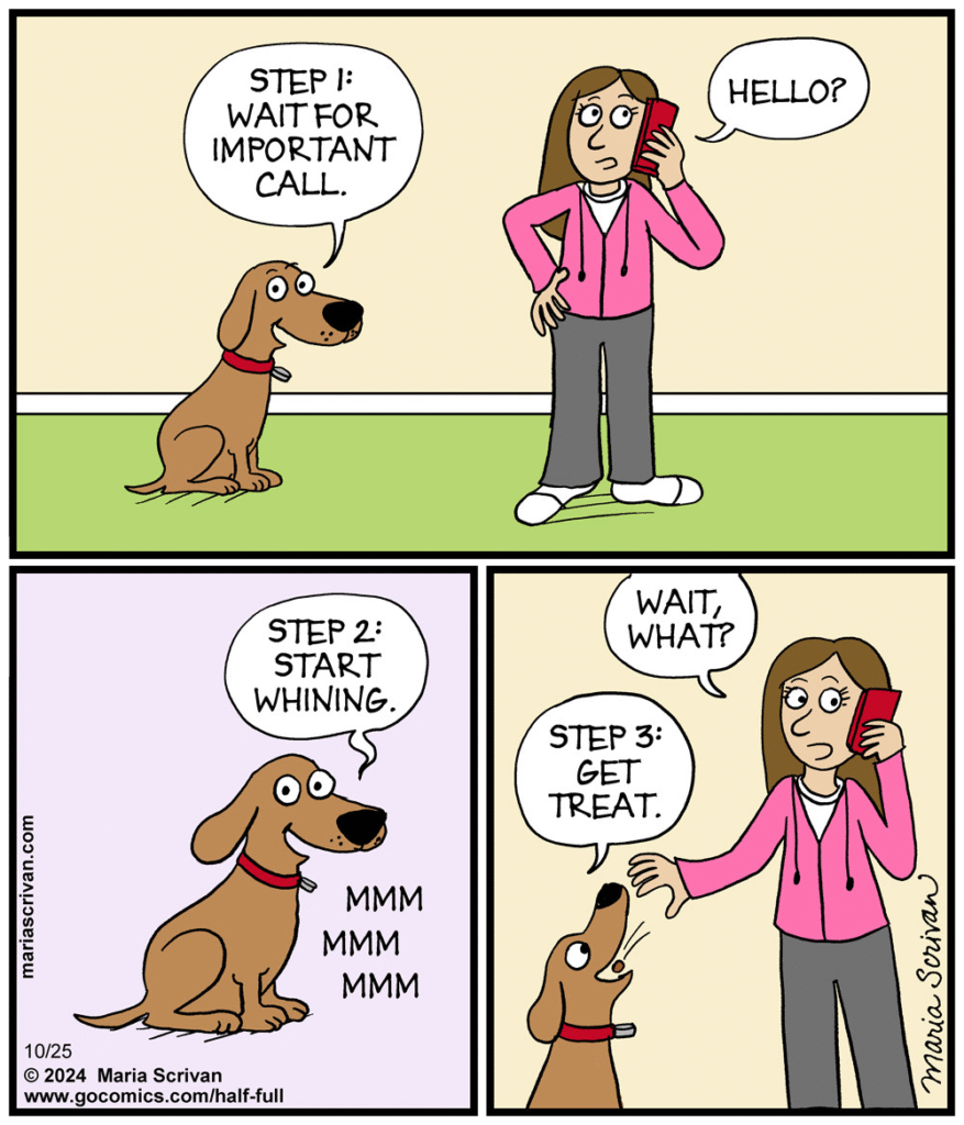 image-213-877x1024 Here are 20 Fabulous and Fantastic Comics Based On One-Panel Jokes