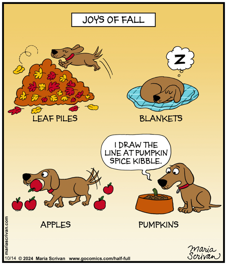 image-214-877x1024 Here are 20 Fabulous and Fantastic Comics Based On One-Panel Jokes
