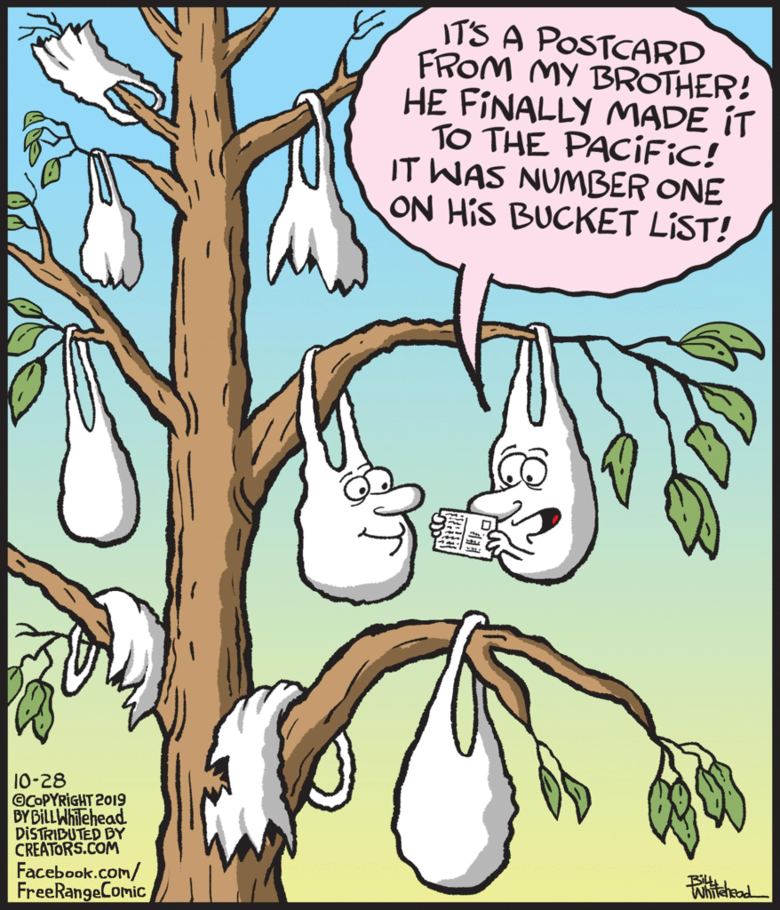 image-35-878x1024 A Cartoonist Bill Whitehead Makes Everyone Laugh With 20 New Comics