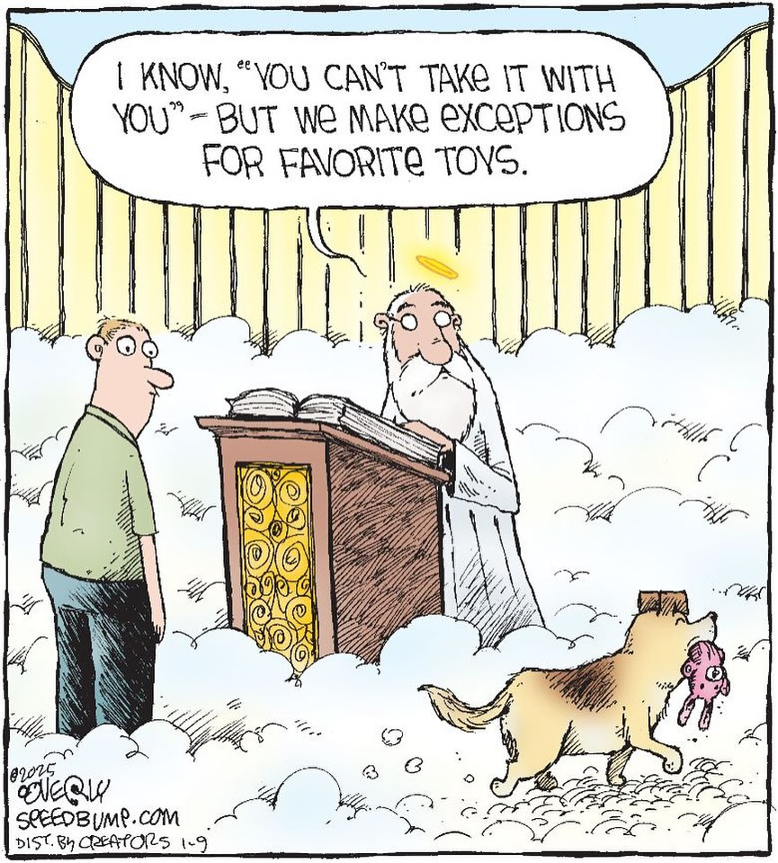 image-385 20 Speed Bump Comics About The Humorous Jokes And Funny Things