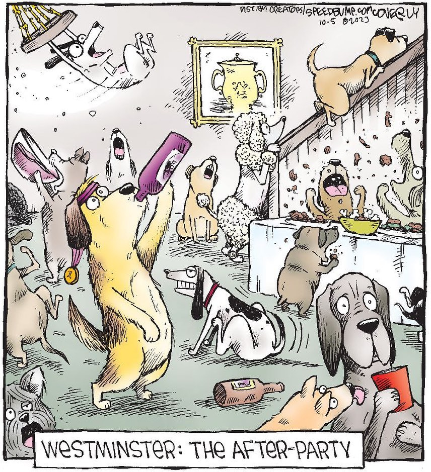 image-392 20 Speed Bump Comics About The Humorous Jokes And Funny Things