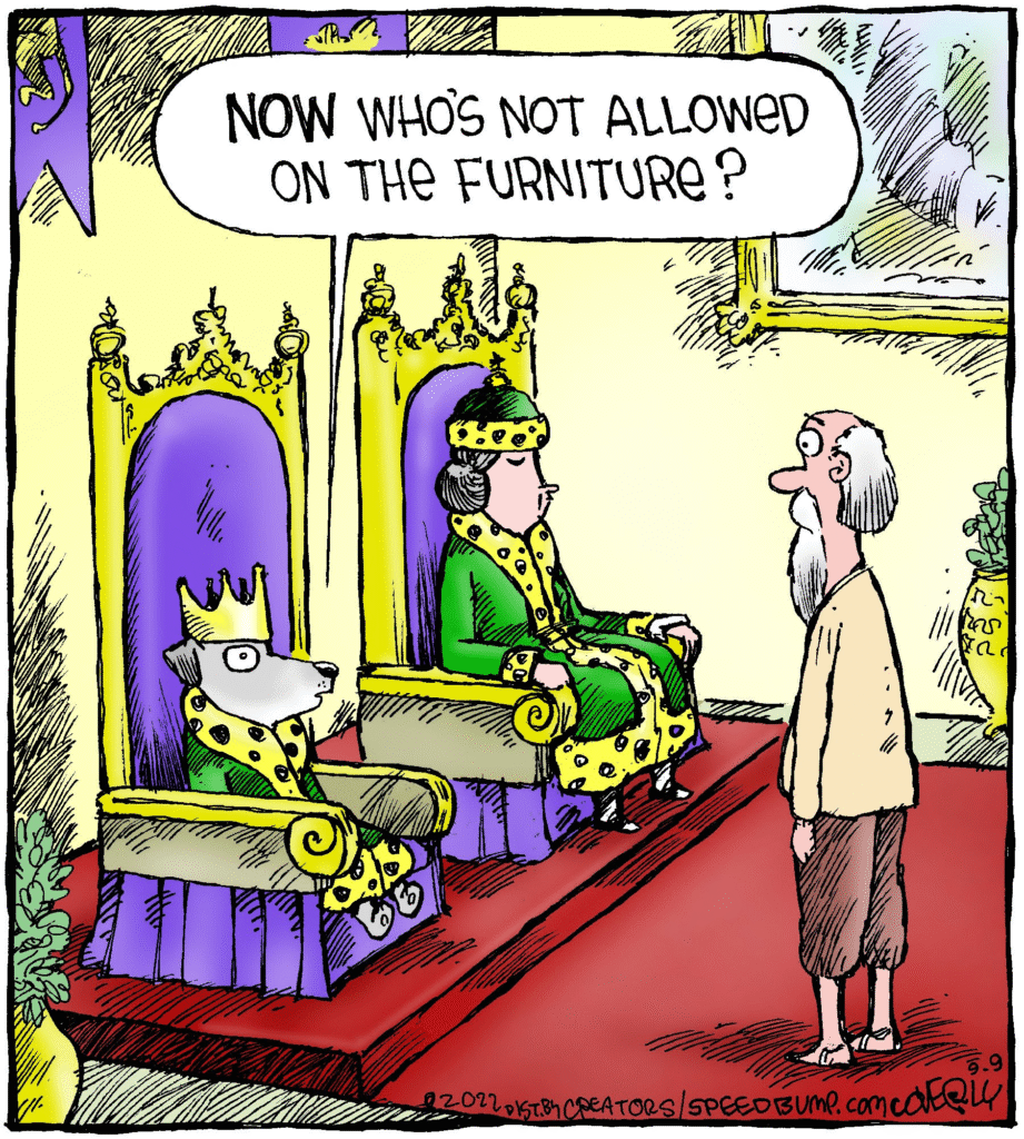 image-396-921x1024 20 Speed Bump Comics About The Humorous Jokes And Funny Things