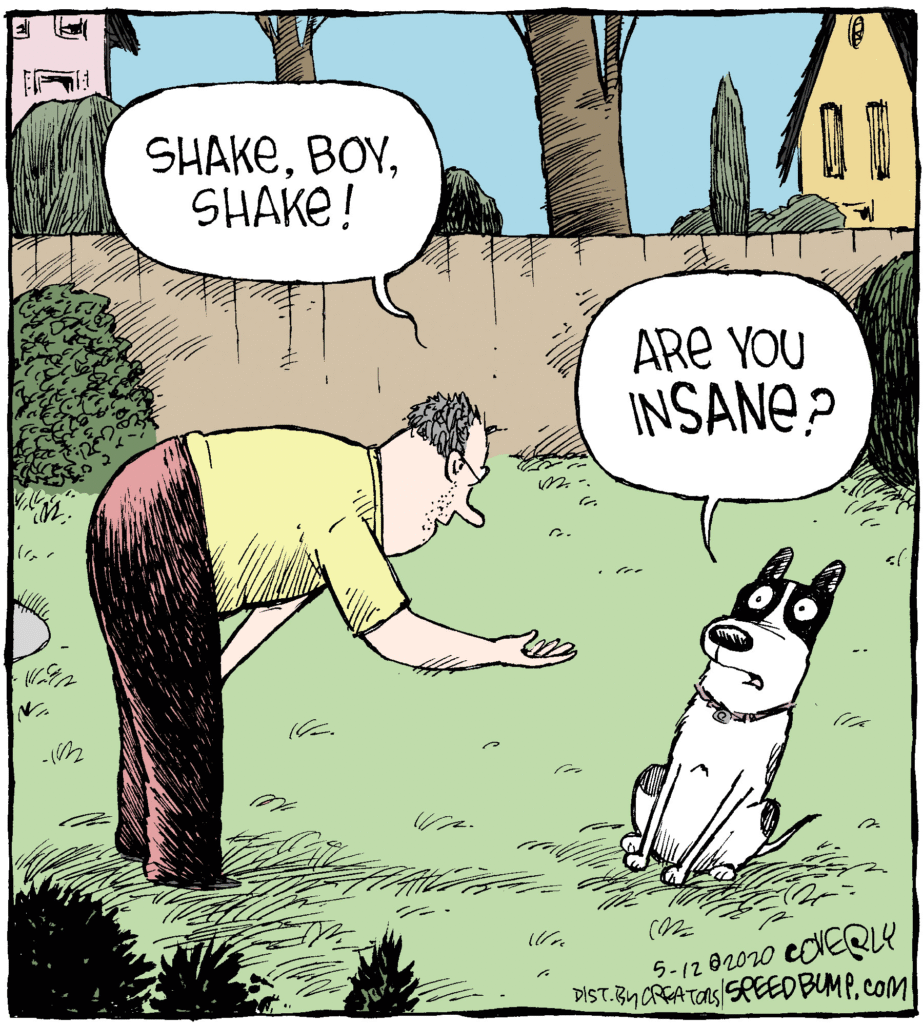 image-426-923x1024 An Artist Dave Coverly Creates 20 New One-Panel Comics To Laugh Everyone