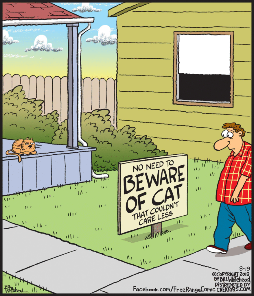 image-596-878x1024 Here are 20 Free Range Comics To Laugh You After A Busy Work Day