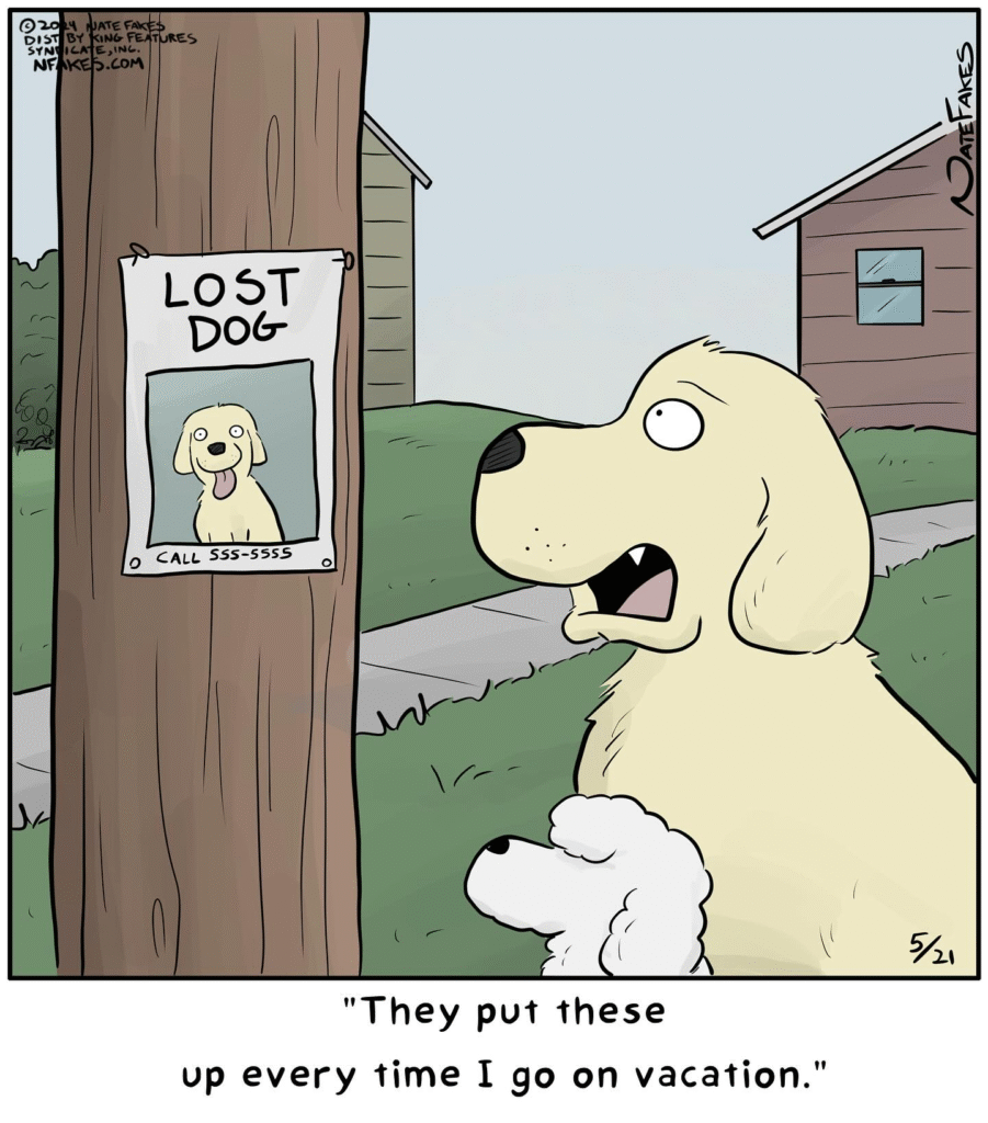 image-63-901x1024 20 One-Panel Comics By An Artist Nate Fakes That Will Giggle You