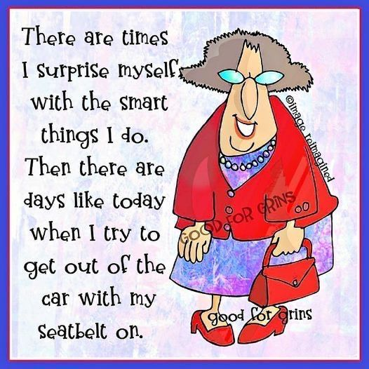 image-738 This Blog Shows The Experiences of an Old Lady In a Funny Way (20 Jokes)